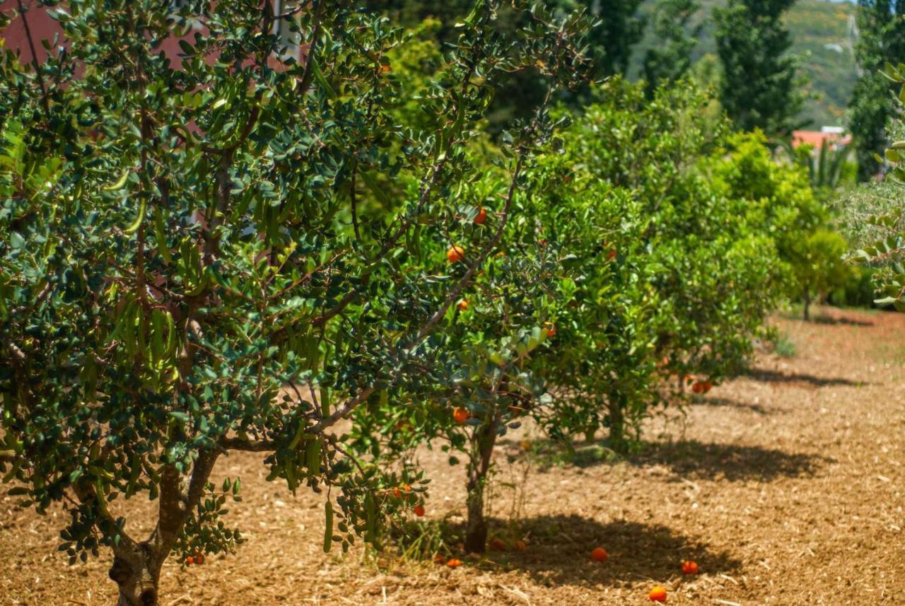 Efrosini Village Kateleios Zewnętrze zdjęcie